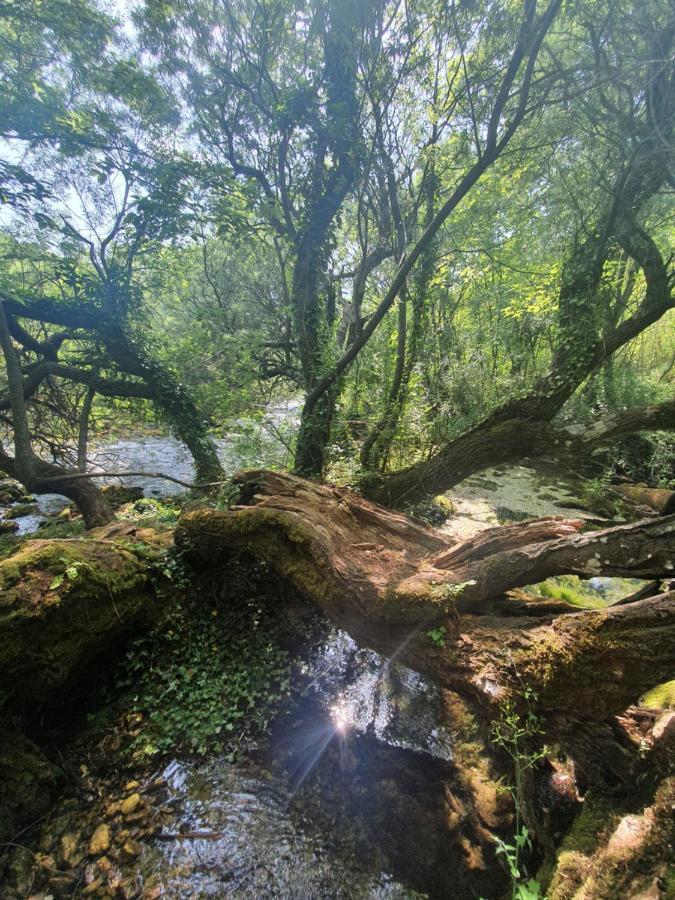 Timber Valley Plitvicka Jezera Bagian luar foto